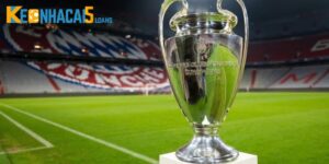 CUP C1 Là Gì