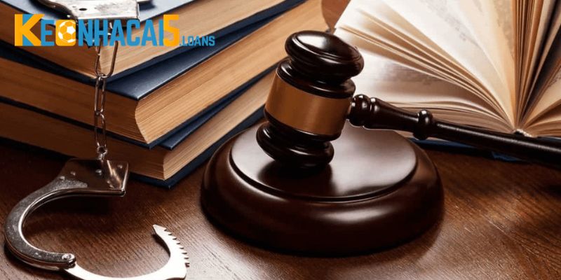 Dữ liệu hỗ trợ người dùng thấu hiểu quy định